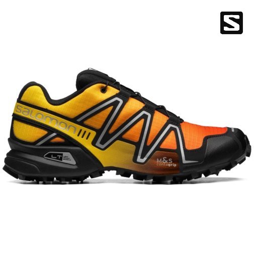 Multicolor Salomon Speedcross 3 Gradient Men's Sneakers | IE UQ2938